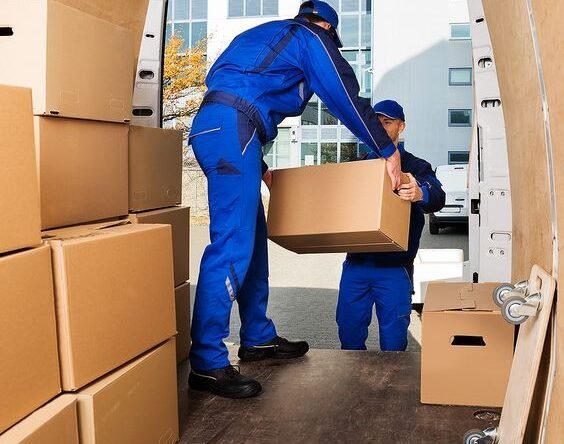 093d1cfb b145 452e b308 b19b009a946b